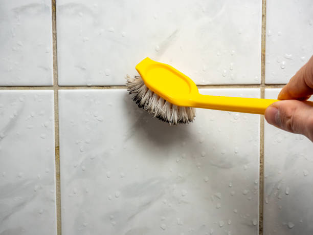 Best Residential Mold Remediation in Panorama Village, TX